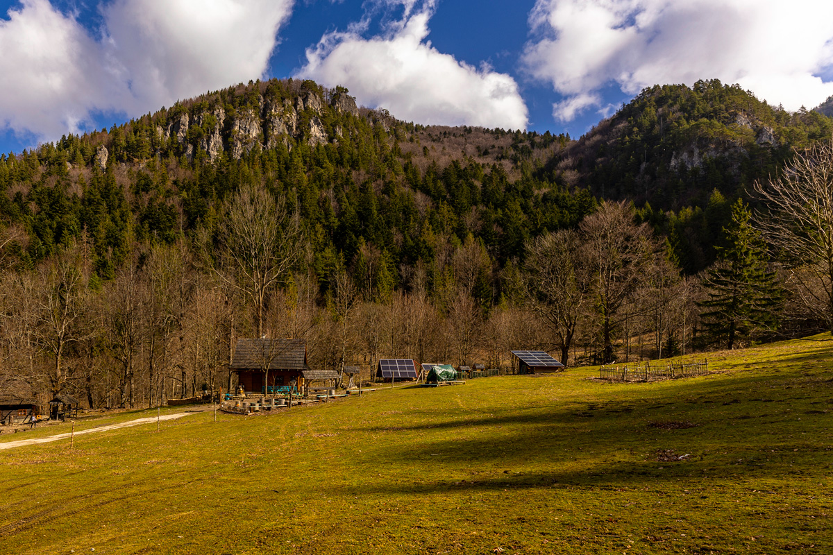 Podžiar