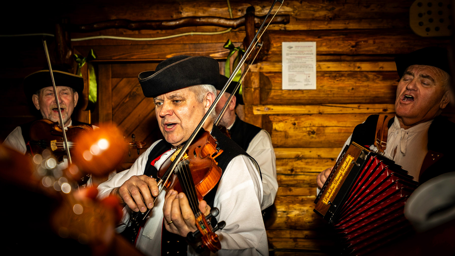 tazka muzika hotel diery